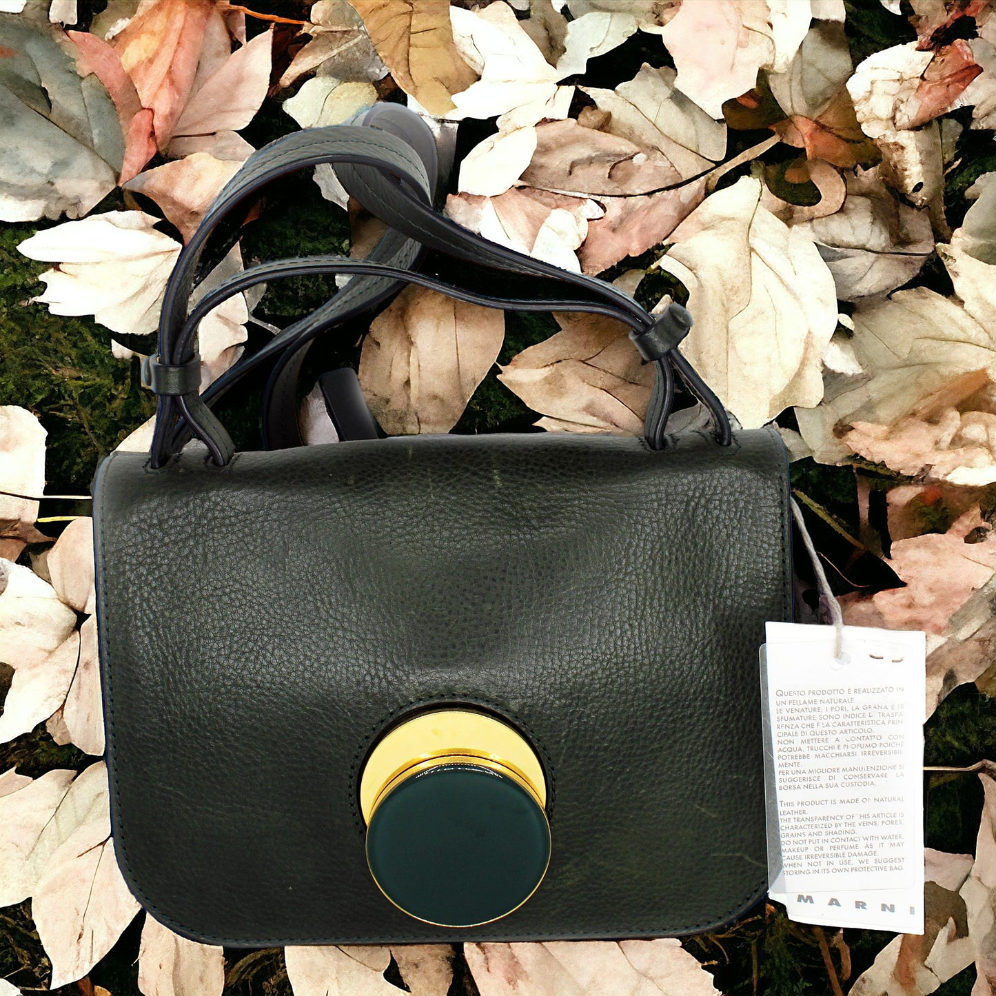 Marni Pois Mini Shoulder Bag