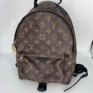 Mochila Louis Vuitton Monogram Palm Spring Small de cuero, formato compacto
