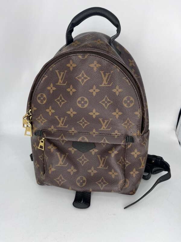 Mochila Louis Vuitton Monogram Palm Spring Small de cuero, formato compacto